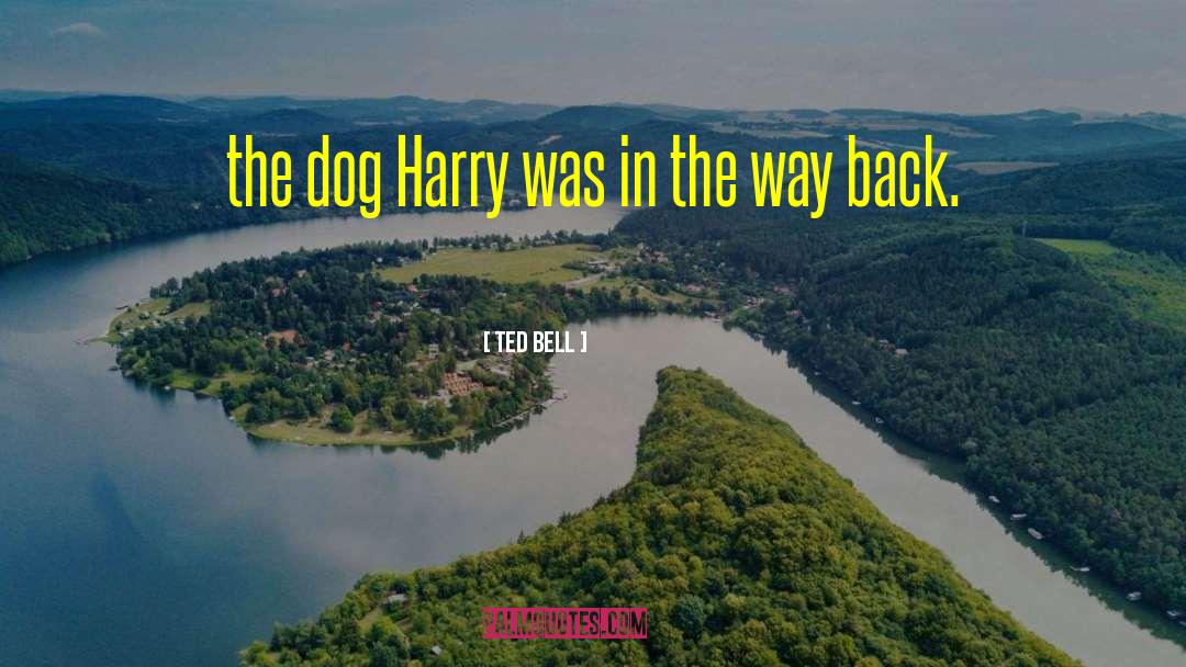Ted Bell Quotes: the dog Harry was in