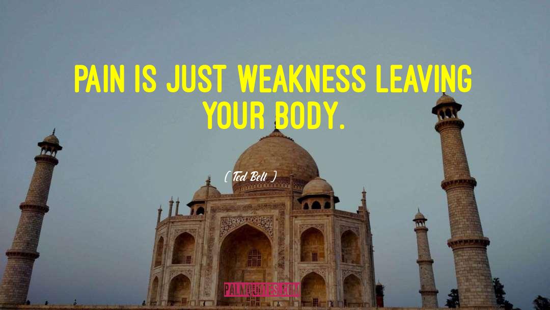 Ted Bell Quotes: Pain is just weakness leaving