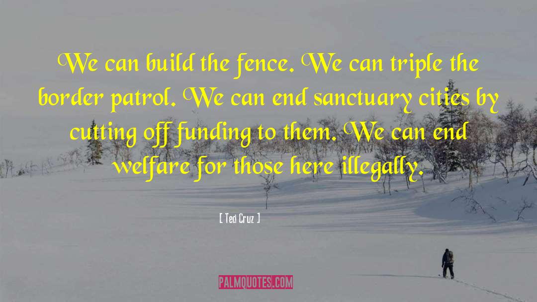 Ted Cruz Quotes: We can build the fence.