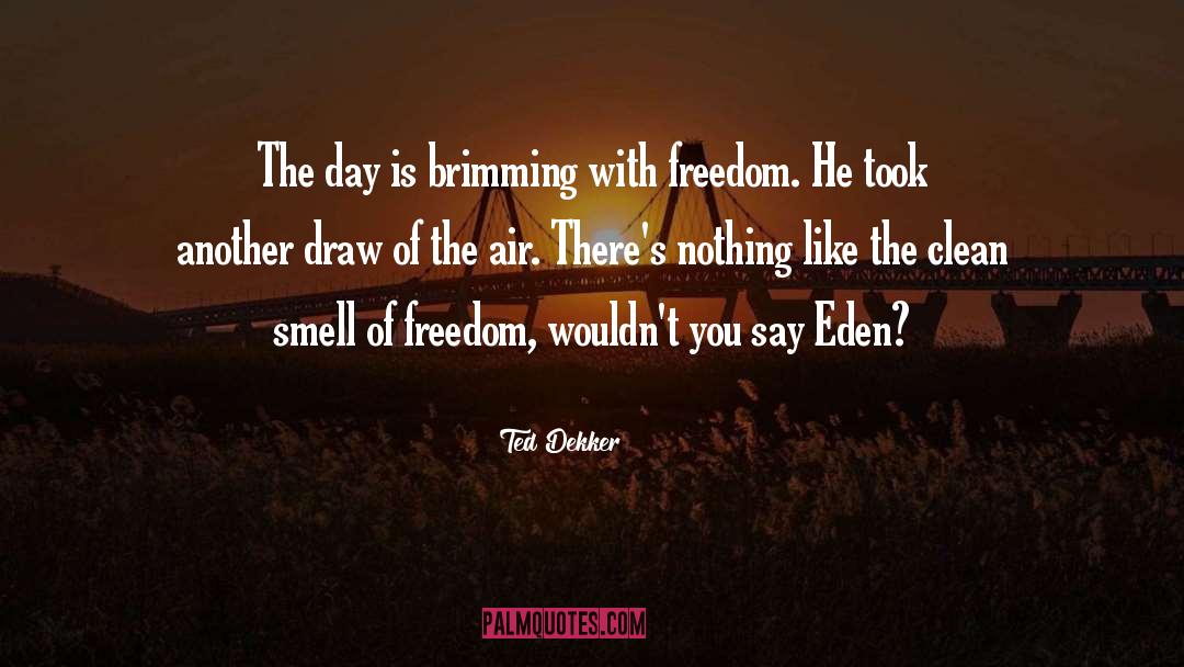 Ted Dekker Quotes: The day is brimming with