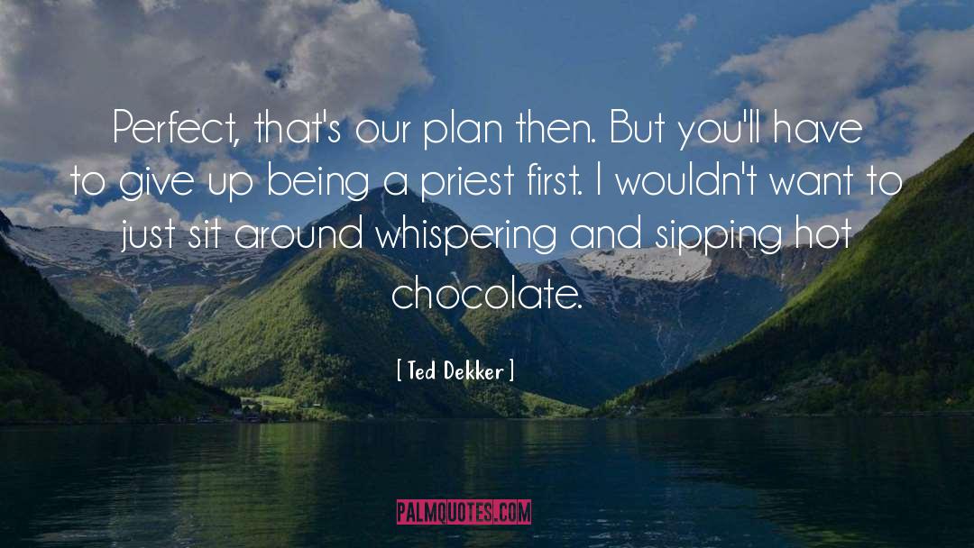 Ted Dekker Quotes: Perfect, that's our plan then.