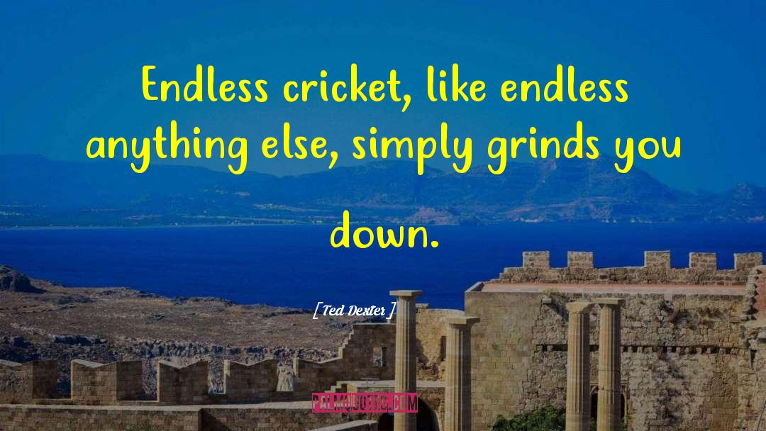 Ted Dexter Quotes: Endless cricket, like endless anything