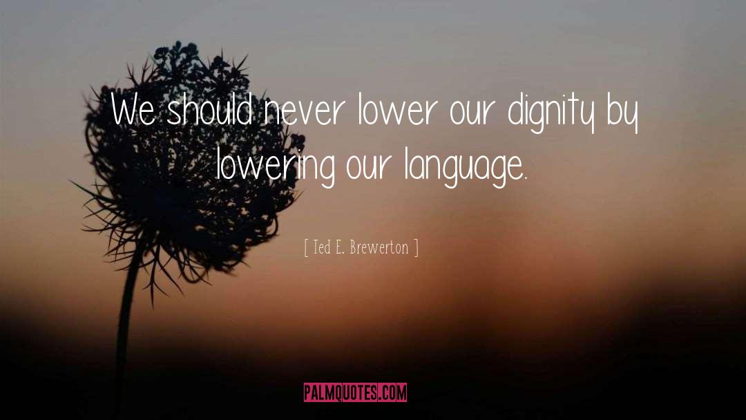 Ted E. Brewerton Quotes: We should never lower our