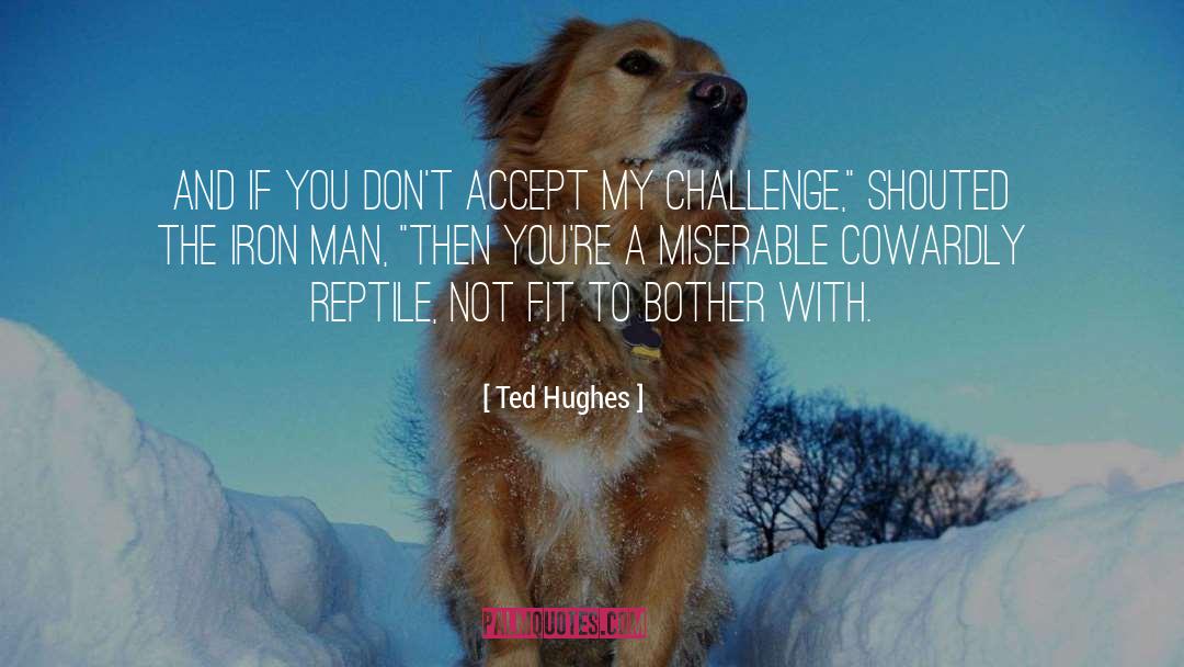 Ted Hughes Quotes: And if you don't accept