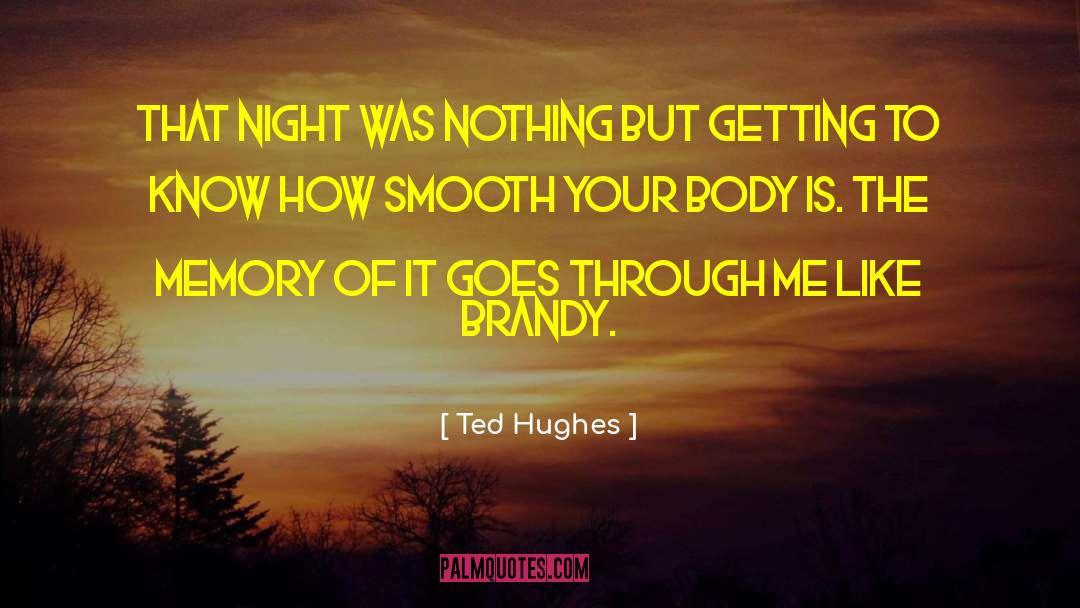 Ted Hughes Quotes: That night was nothing but