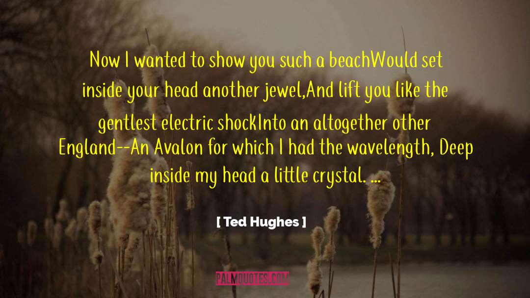 Ted Hughes Quotes: Now I wanted to show