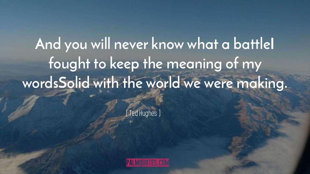 Ted Hughes Quotes: And you will never know