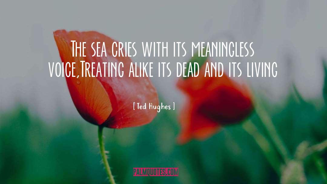 Ted Hughes Quotes: The sea cries with its