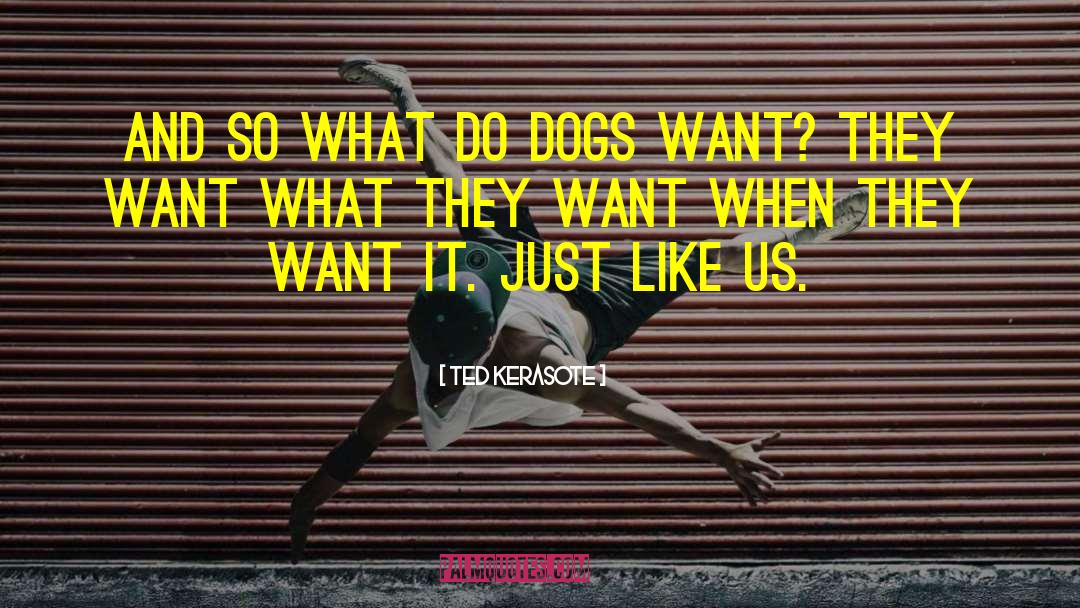 Ted Kerasote Quotes: And so what do dogs