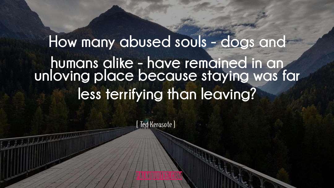 Ted Kerasote Quotes: How many abused souls -