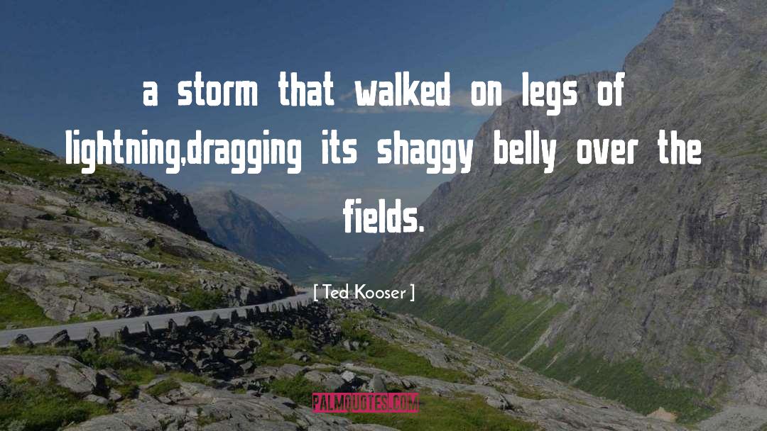 Ted Kooser Quotes: a storm that walked on