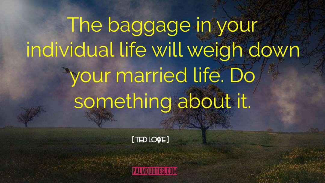 Ted Lowe Quotes: The baggage in your individual