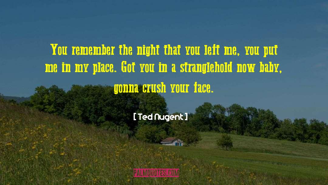 Ted Nugent Quotes: You remember the night that