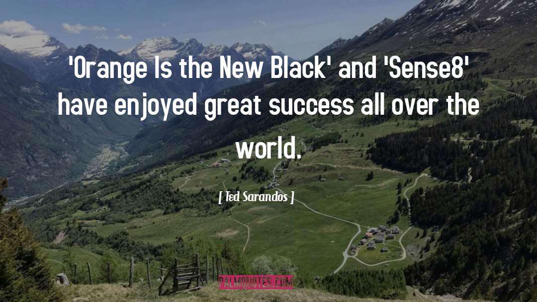 Ted Sarandos Quotes: 'Orange Is the New Black'