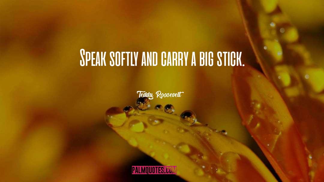 Teddy Roosevelt Quotes: Speak softly and carry a