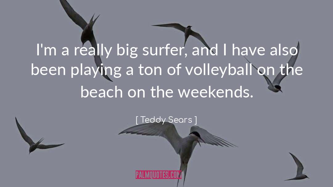 Teddy Sears Quotes: I'm a really big surfer,