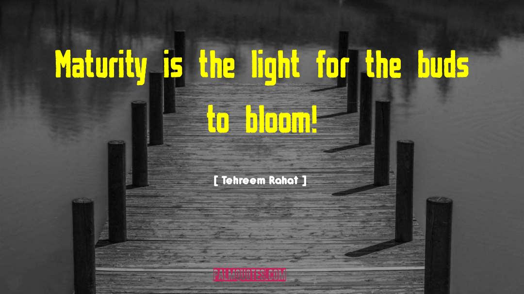 Tehreem Rahat Quotes: Maturity is the light for