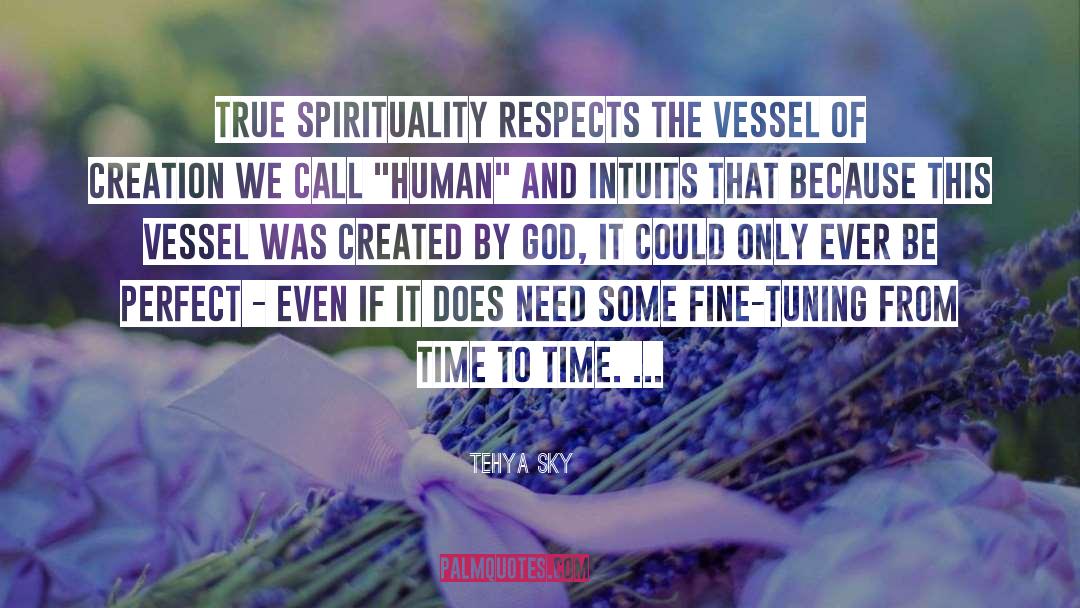 Tehya Sky Quotes: True spirituality respects the vessel