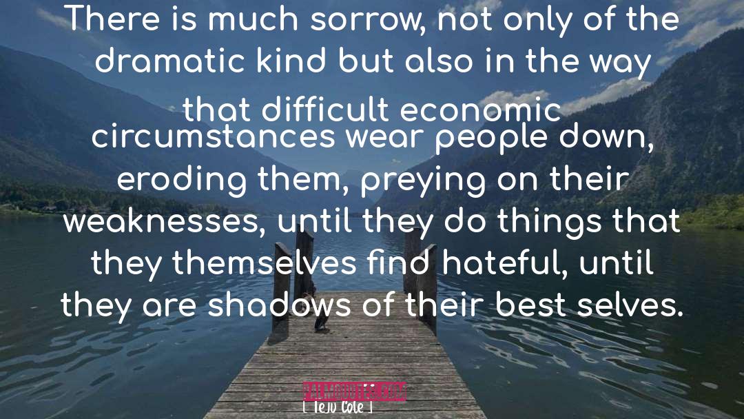 Teju Cole Quotes: There is much sorrow, not