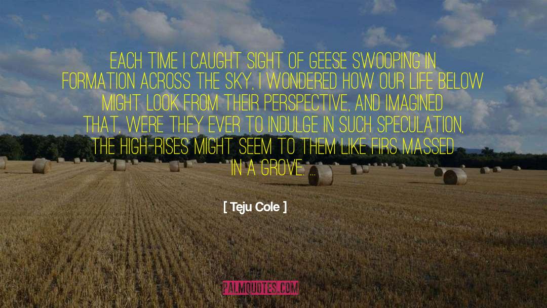 Teju Cole Quotes: Each time I caught sight