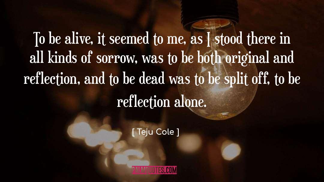Teju Cole Quotes: To be alive, it seemed