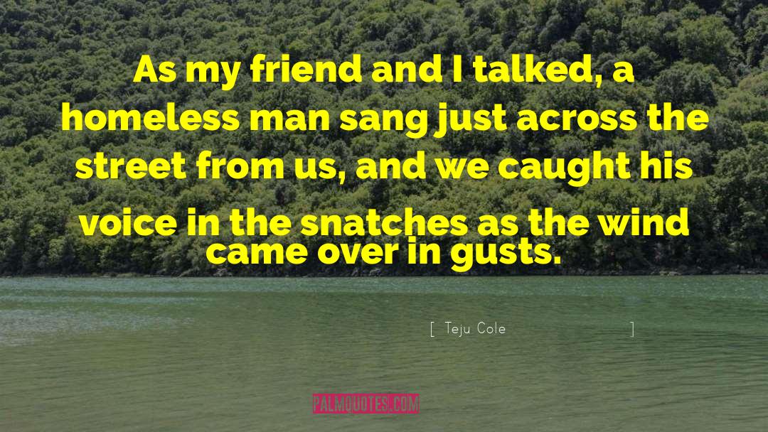 Teju Cole Quotes: As my friend and I