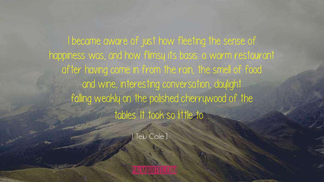 Teju Cole Quotes: I became aware of just