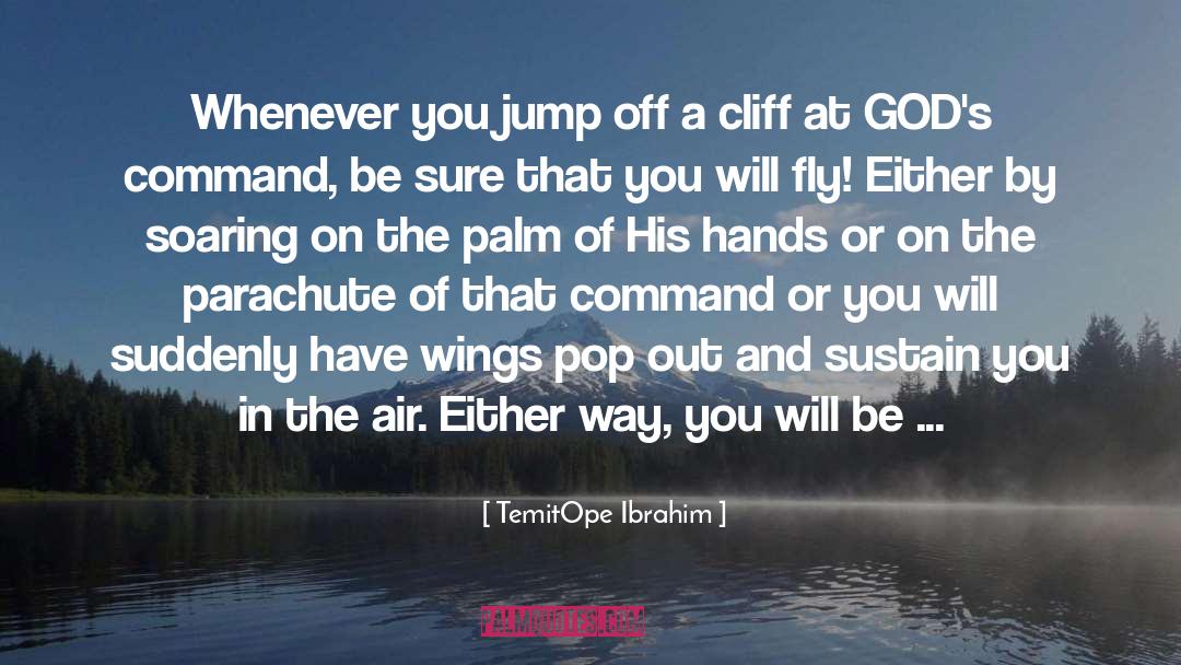 TemitOpe Ibrahim Quotes: Whenever you jump off a