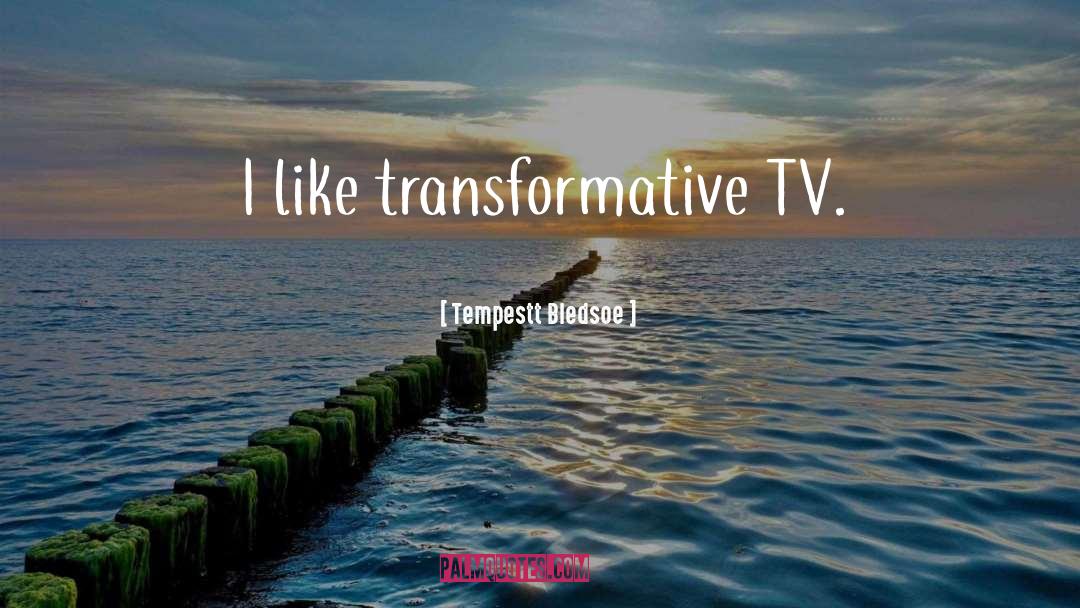 Tempestt Bledsoe Quotes: I like transformative TV.