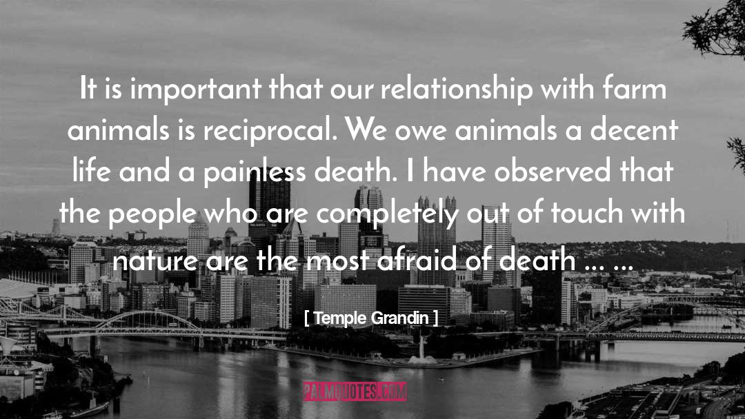 Temple Grandin Quotes: It is important that our