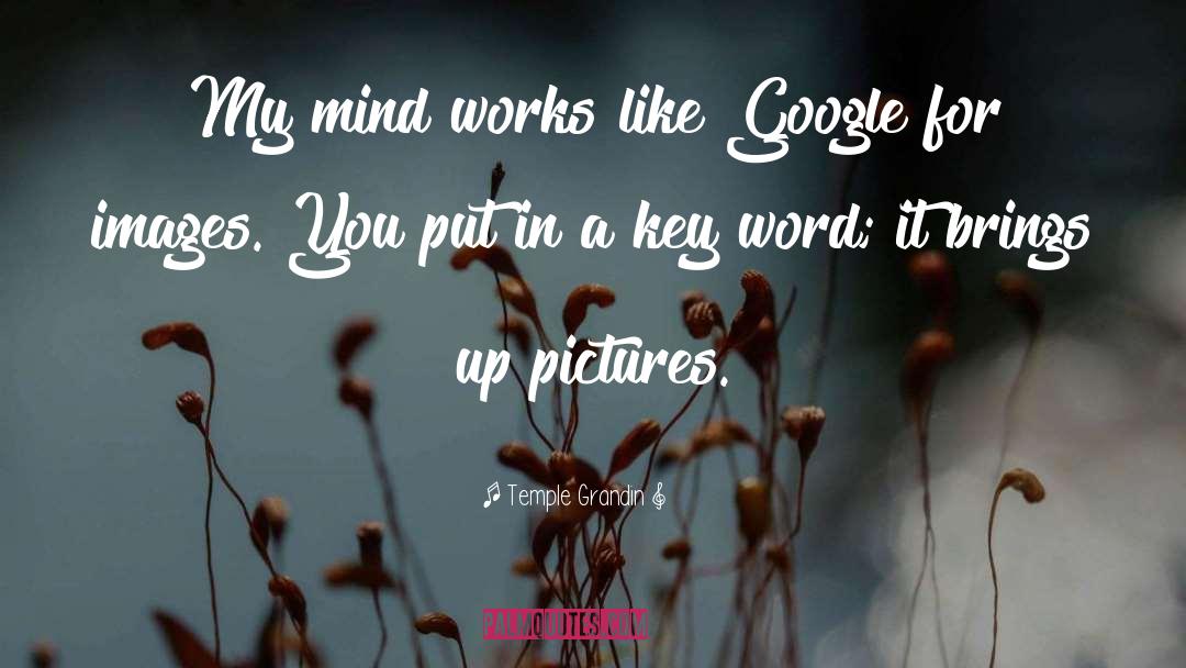 Temple Grandin Quotes: My mind works like Google