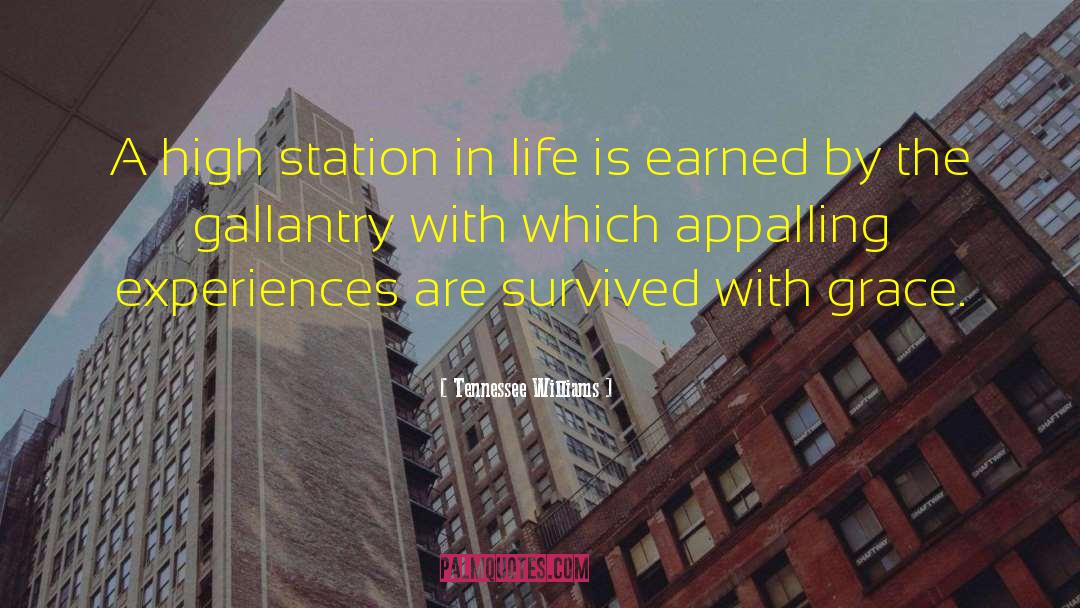 Tennessee Williams Quotes: A high station in life