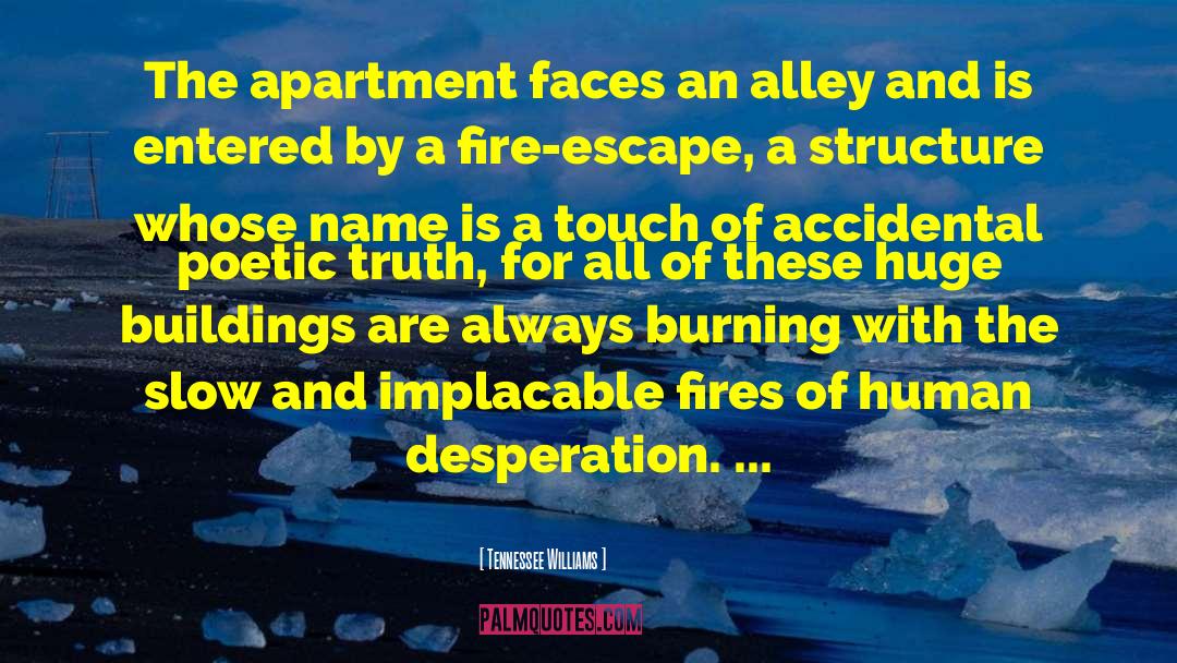 Tennessee Williams Quotes: The apartment faces an alley