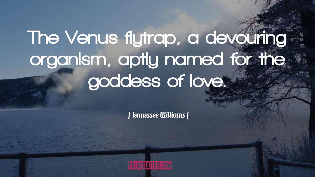 Tennessee Williams Quotes: The Venus flytrap, a devouring