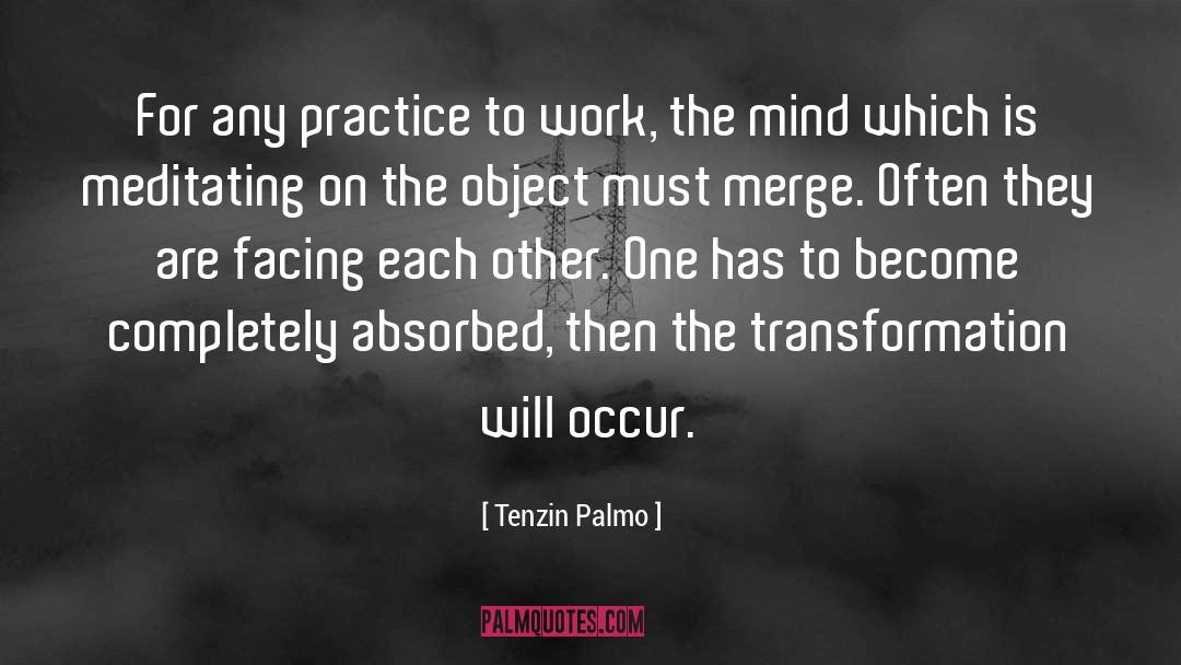 Tenzin Palmo Quotes: For any practice to work,