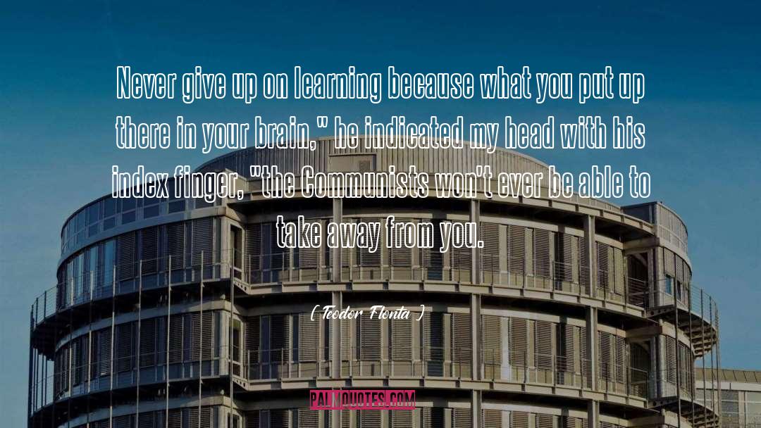 Teodor Flonta Quotes: Never give up on learning