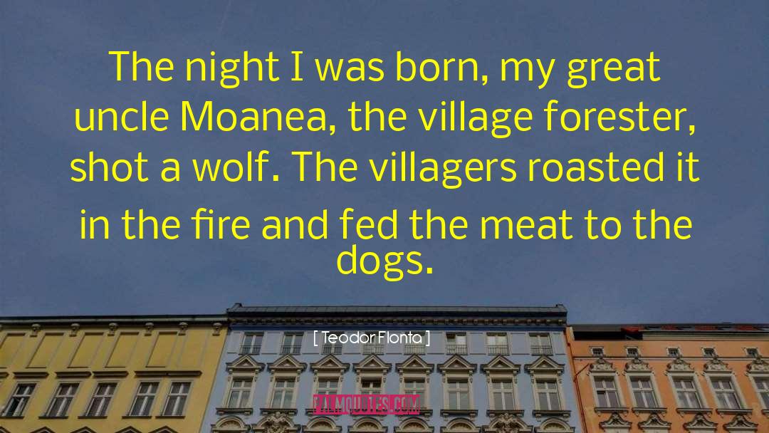 Teodor Flonta Quotes: The night I was born,