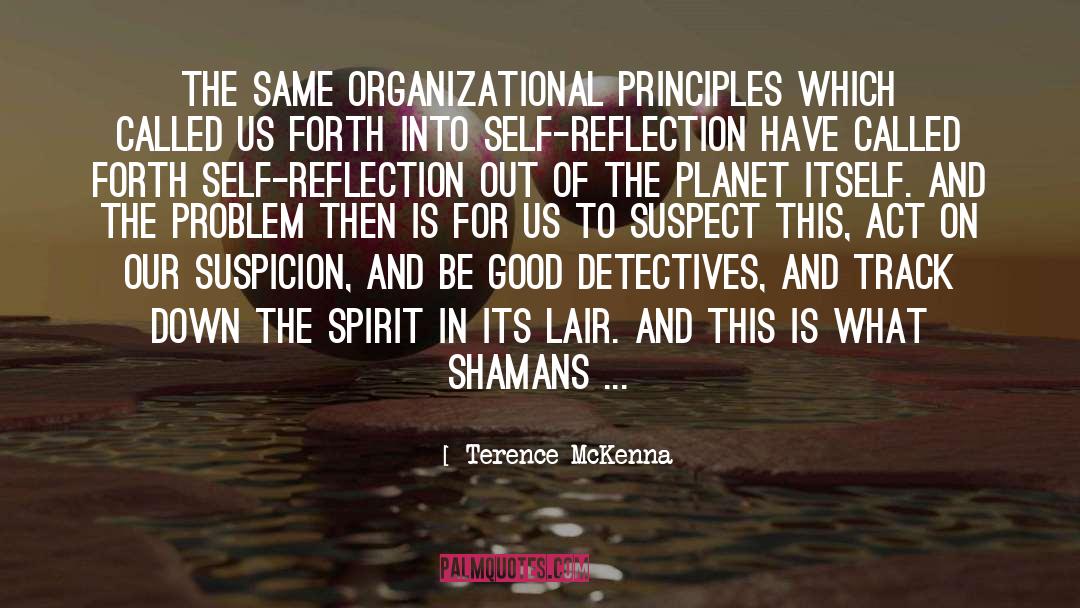 Terence McKenna Quotes: The same organizational principles which
