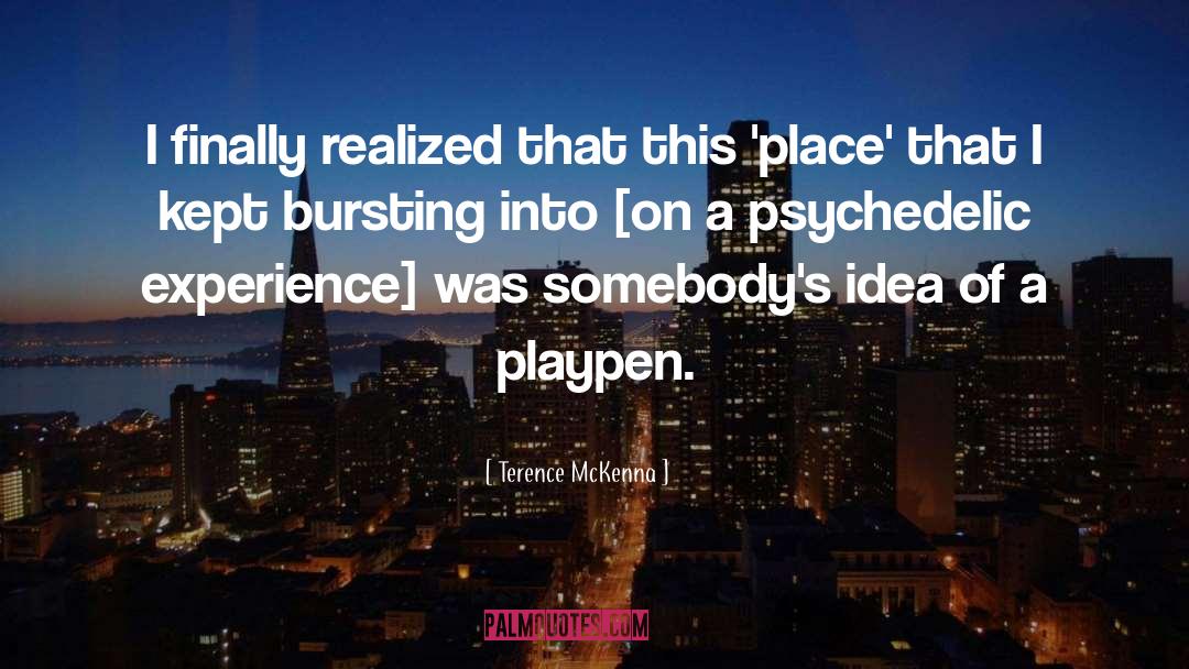 Terence McKenna Quotes: I finally realized that this