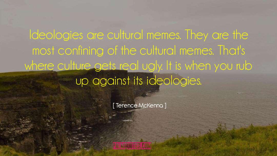 Terence McKenna Quotes: Ideologies are cultural memes. They