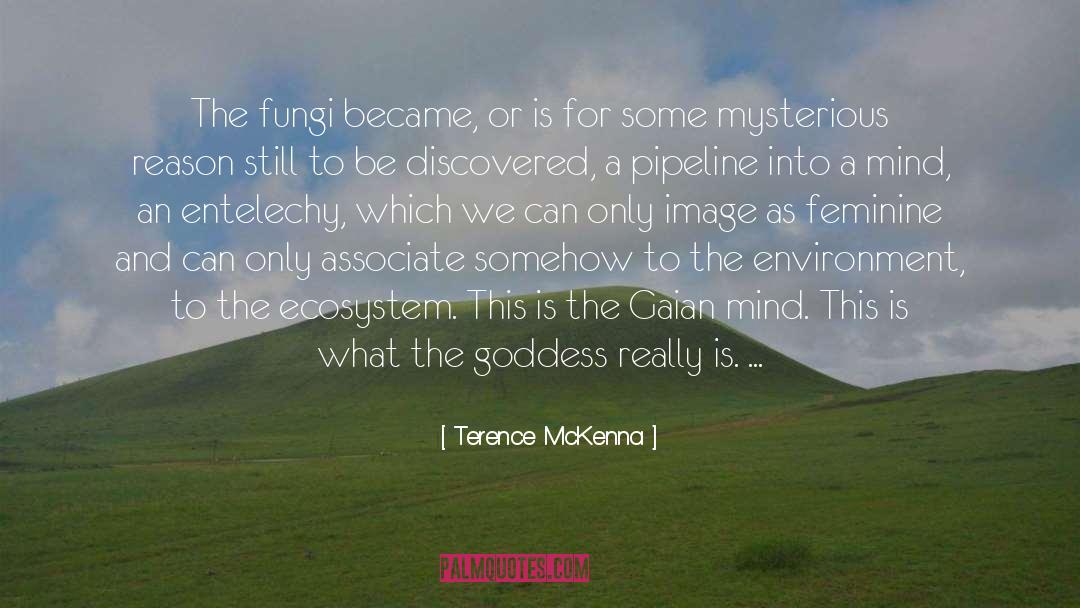 Terence McKenna Quotes: The fungi became, or is