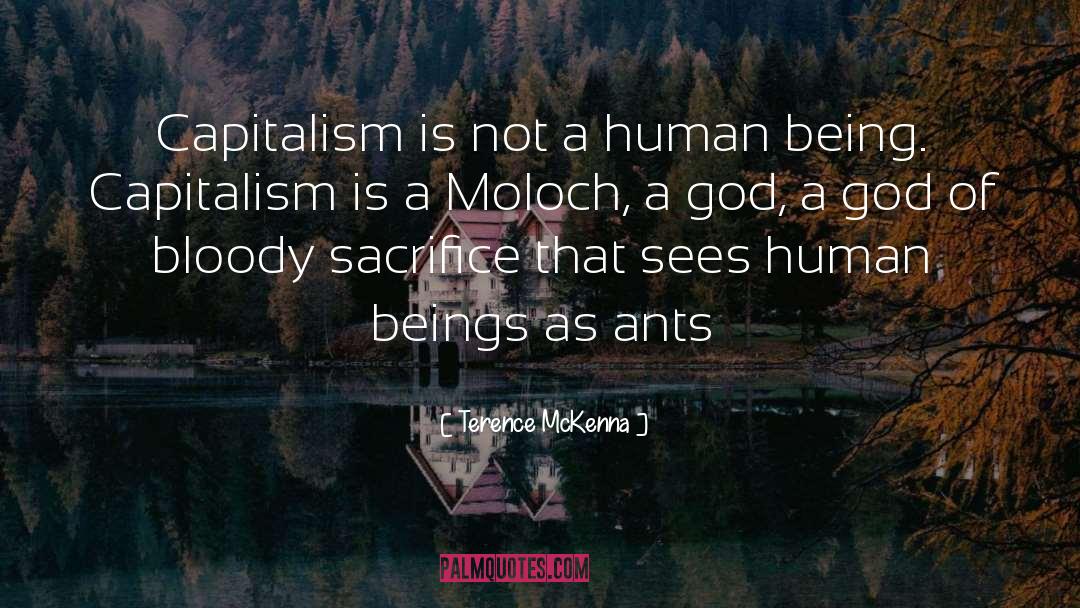 Terence McKenna Quotes: Capitalism is not a human