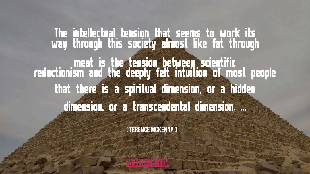 Terence McKenna Quotes: The intellectual tension that seems