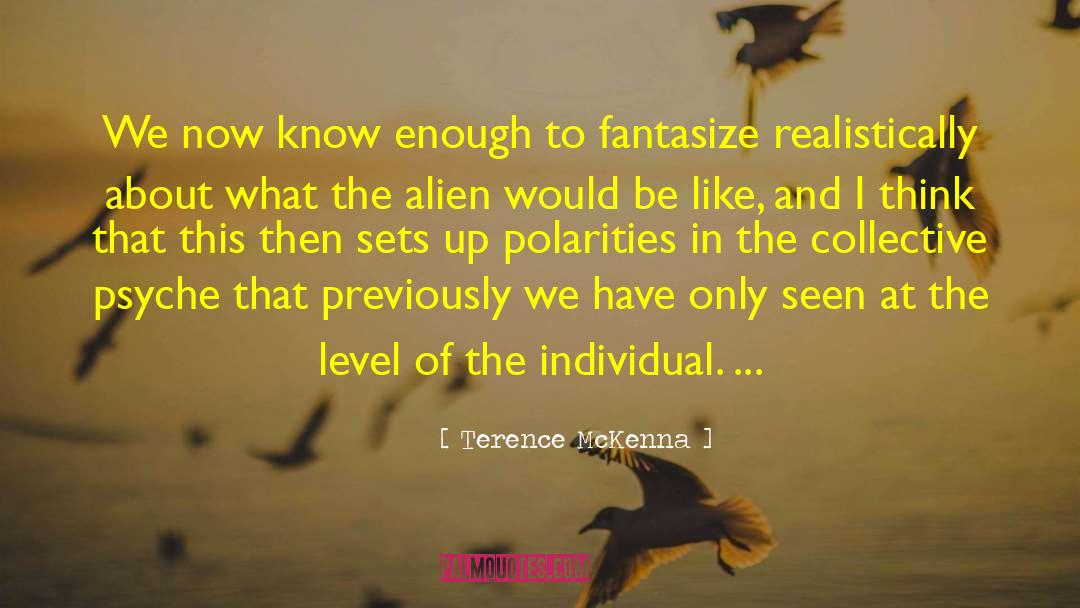Terence McKenna Quotes: We now know enough to