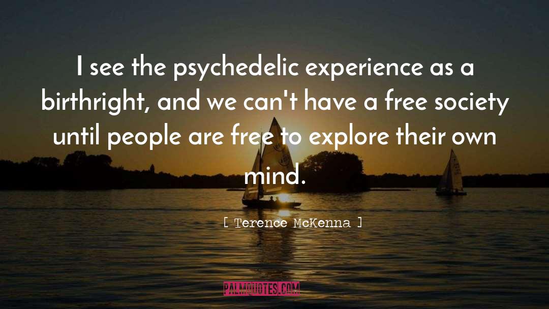 Terence McKenna Quotes: I see the psychedelic experience