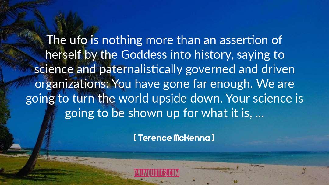 Terence McKenna Quotes: The ufo is nothing more