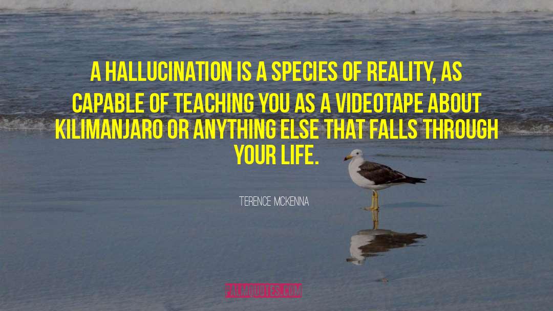 Terence McKenna Quotes: A hallucination is a species