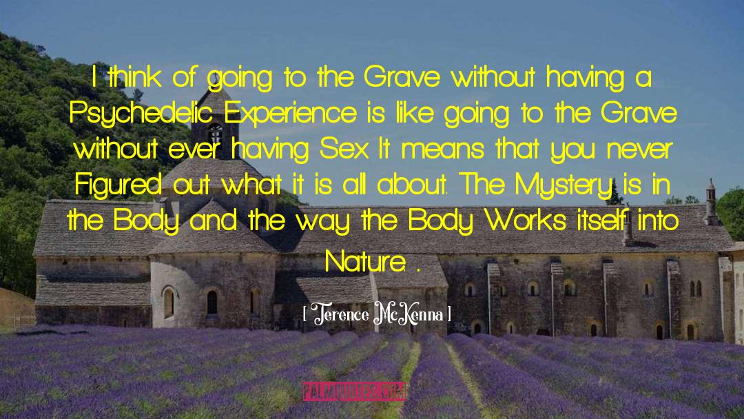 Terence McKenna Quotes: I think of going to