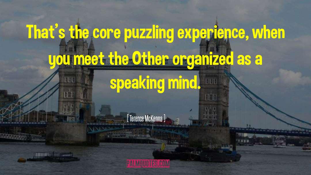 Terence McKenna Quotes: That's the core puzzling experience,