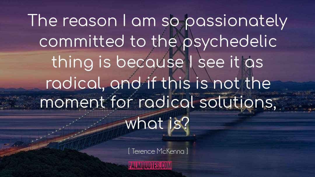 Terence McKenna Quotes: The reason I am so